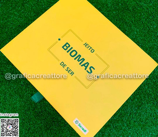 Caixa R�gida Sicredi